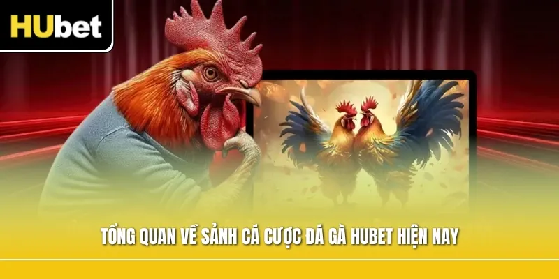 Tổng quan về sảnh cá cược đá gà Hubet hiện nay
