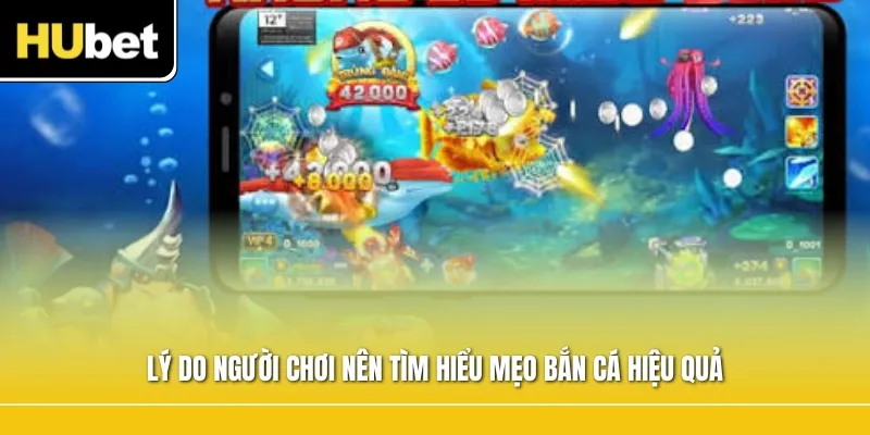 Lý do người chơi nên tìm hiểu mẹo bắn cá hiệu quả